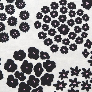 RbgLoX n z k RT[W UP5762ELi Rbg΂₵ ̕z pp\