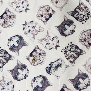 LN^[n z Ringo Cat lover NEKOS lRY RINF|02AW AeB[NzCg pps