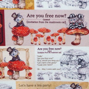 �L�����N�^�[ �R�b�g�� �V�[�`���O���n �z Ringo Cat Collection Mushroom Cat RINF-08 BTR�x�j�e���O�_�P���b�h �}�b�V�����[���L���b�g ���ҏ� ������ �l�R ���p���p�s��