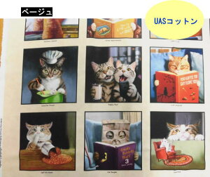 pl n A USARbg Lbg~A[ 41004@2F GUxXX^WI 61×110cm CAT@L pp\