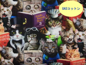 V@A USARbg n z lR̖@Lbg~A[ 41005-MULTI GUxXX^WI lR Lbg Ƃ̏ppsil͉j