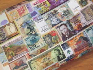 生地 布 輸入 USAコットン 世界の紙幣 Library of Rarities AGWDー19645ー205MONEY お金 ロバートカフマン 商用利用可能