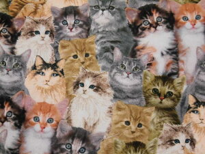 A USARbg n z {݂ȃlR CD 2060Natural L ˂ lR Lbg CNWFbg^CXgW[Y PACKED REALISTIC CATS@pp\