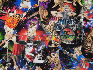 A USARbg n z bNX^[Lbc CD3398-MULTIL lR ^CXgW[Y I'M WITH THE BAND@pp\