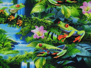 A USARbg n z MщJт̃JG CD3159-Green JG@^CXgW[Y pp\