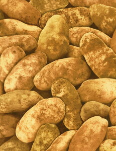 C6443 A USARbg n z xW[{E |eg C6443-Brown WKC ^CXgW[Y pp\