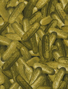 A USARbg n z sNX C5642 ^CXgW[Y pp\