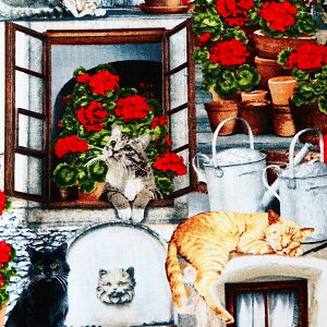 A USARbg n z tg|[`Lbg C6381-Porch ^CXgW[Y pp\ lR L ˂