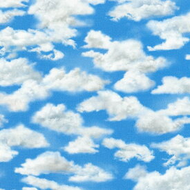 楽天市場 雲 布の通販