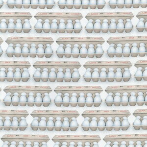 n z A USARbg LX U NbN GbOVF AMKD19299|86 ̊k o[gJt} pp\