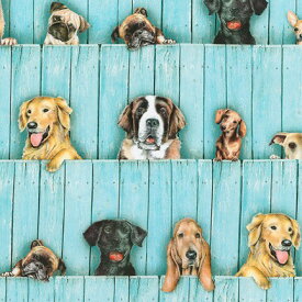 楽天市場 Usaコットン 犬の通販 楽天市場 Usaコットン 犬の通販