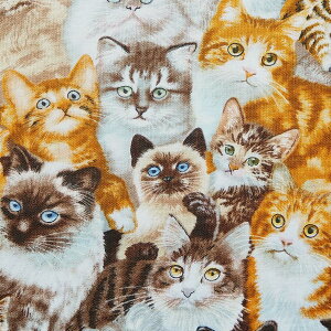 A USARbg n z ybg| 1253-multi GUxXX^WI L lR Lbg Ƃ̏ppsil͉j