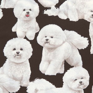 生地 布 犬 Usaコットンの人気商品 通販 価格比較 価格 Com