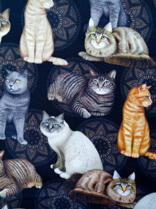 A n z USARbg tFVeB Lbg_I 28488J-BLACK lR L  VAXLbgLeBOgW[Y pp\