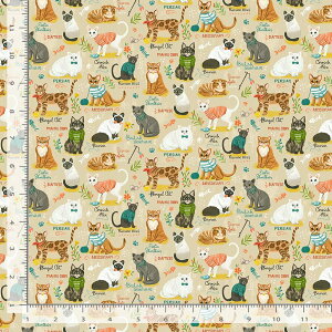 A USARbg n z Lbgu[Y`[g CD2156-Beige L lR ^CXgW[Y pp\