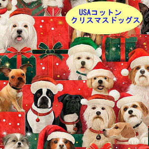 A n z USARbg NX}XhbOX 31189R hbO Ck   LeBOgW[Y