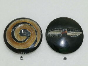 {^@܂BT2097 i a30mm o lR|X\