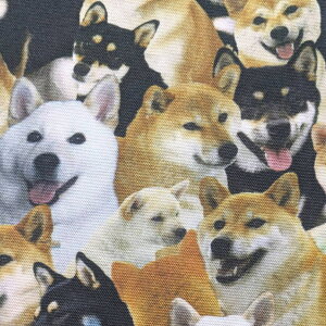 w Rbg IbNXn z Č炯 20001|4 CNWFbgvg pp\