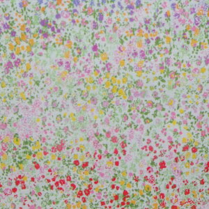 Rbg V[`On z nora Of[V^Cj[t[ FR1023A I[hubNRNVV[Y CNWFbgvg pp\