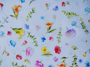 Rbg V[`On z nora ʉ敗t[ FR1029 I[hubNRNVV[Y CNWFbgvg pp\