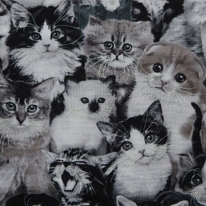 A USARbg n z Lbgu[Y 3809-GRAY GUxXX^WI L̔ɐB lR Lbg pps