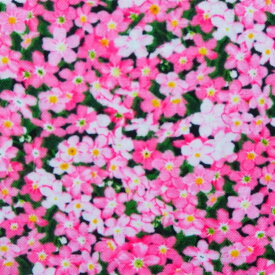 輸入 USAコットン シーチング生地 布 ランドスケープメドレー 542-pink 小花柄 ハッピー ファーム エリザベススタジオ 商用利用可能
