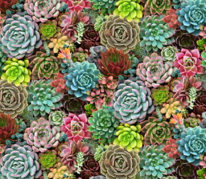 A USARbg V[`On z TLg `[ 598-MULTI ԕ A̖ GPxA GUxXX^WI pp\@CNWFbg
