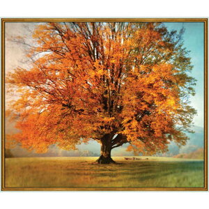 pl A n z USARbg A[g[NXX I[^c[ 26858X LeBOgW[Y pp\