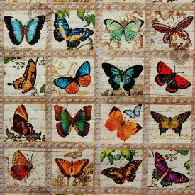 輸入 USAコットン 生地 布 ライブラリー オブ レアリティーズ ATXD-19598-200VINTAGE 蝶柄 ロバートカフマン 商用利用可能