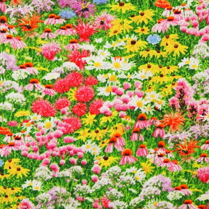 A USARbg V[`On z 518-multi hXP[vh[ ԕ r[Yt[ GUxXX^WI pp\