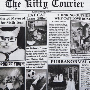 A USARbg n Lbgj[Xy[p[ C6705-NEWSPRINT L ˂ lR Lbg V ^CXgW[Y pp\