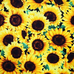 A USARbg n z pbNhTt[Y C8781-YELLOW ԕ Ђ܂  q} ^CXgW[Y pp\