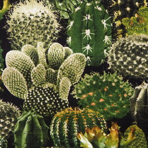 メキシコ 布の人気商品 通販 価格比較 価格 Com
