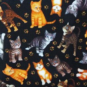 A n z USARbg LgD gX 28490J-BLACK RlR qL  LeBOgW[Y pp\