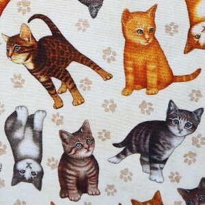 A n z USARbg LgD gX 28490E-MINKY RlR qL  LeBOgW[Y pp\