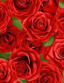 輸入 USAコットン 生地 布 パックド ローズ C1191-RED 花柄 バラ 薔薇 ばら タイムレストレジャーズ 商用利用可能