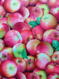 A USARbg n z Abv S t[c ʕ 641-multi t[htFXeBo GUxXX^WI pp\