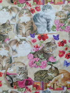 A USARbg n z LbcAhLg 10461|72Beige L lR  xi[ebNX pp\