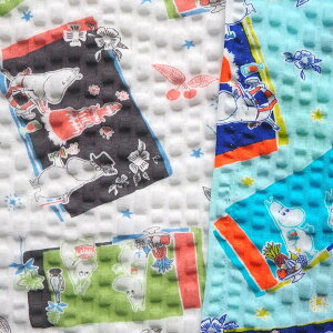 LN^[bvn z MOOMIN [~ G1208|1 藁߁ErEAnVcɍœKII 2021N@pps