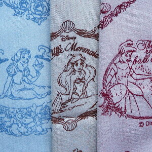 LN^[ Rbg WK[hn z fBYj[ vZX G7424|1 by 2022N w pps