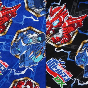 LN^[ IbNXn z Lbvv{g}DX G6104|1 2022N w bXobO ̑ В܂ pps