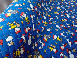 LN^[ LeBOn z Xk[s[ s[ibc PEANUTS SNx[X{[ BQu[ 804398 2023N w pps