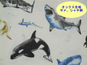 V@w@IbNXn z TAV`AGCȂǊĈ̕I AP61801-2A RXeLX^C@̂ݏpp\