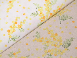 RbglLoXn z ԕ ~U@ AP55803|2 ̂ݏpp\