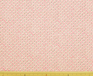 z n |GXe@߂@k TAP15|B@̂@̎q@app\