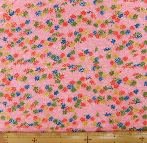 l@݌Ɍ萶n@߂@kɁ@S߂ z߂@FT Y001|08[100@nЖ73cms pp\