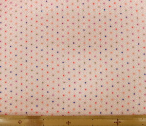 n@߂@kɁ@S߂ z߂@FT Y199-3908[100@nЖ73cms pp\