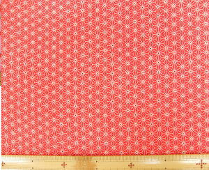 l@݌Ɍ萶n@߂@kɁ@S߂ z߂@FT Y199-02[100@nЖ73cms pp\