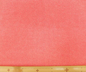 n@߂@kɁ@S߂ z߂@FT Y316-02[100@nЖ73cms pp\