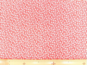 l@݌Ɍ萶n@߂@kɁ@S߂ z߂@FTY041-02[100@nЖ73cms pp\